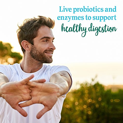 Garden of Life Perfect Food Super Green Formula - 14 Servings | 45 Superfoods, Greens Garden of Life uk supplements