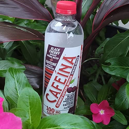 Cafeina - Naturally Flavored Black Cherry Caffeinated Spring Water (12 Pack) - 100mg Caffeine CAFEINA uk supplements
