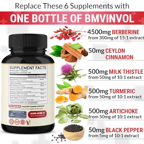BMVINVOL Premium Berberine HCl 6-in1 Equivalent 6100mg - 120 Capsules - Plus Ceylon BMVINVOL uk supplements