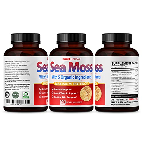 VITAL HERBAL Irish Sea Moss Capsules Equivalent to 5450mg - Maximum Potency VITAL HERBAL uk supplements