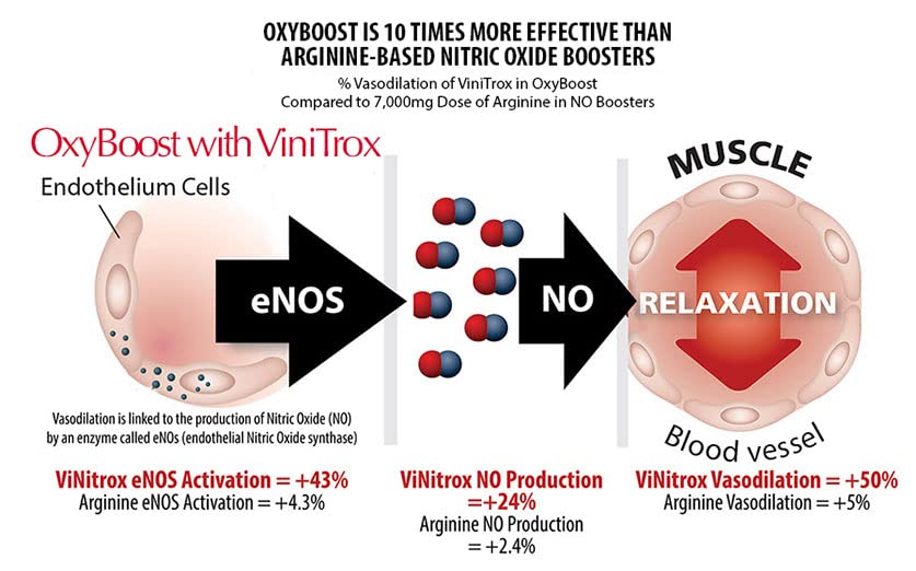 OxyBoost with ViNitrox - Nitric Oxide Supplement for Blood Pressure Support, Heart Health OxyNaturals uk supplements