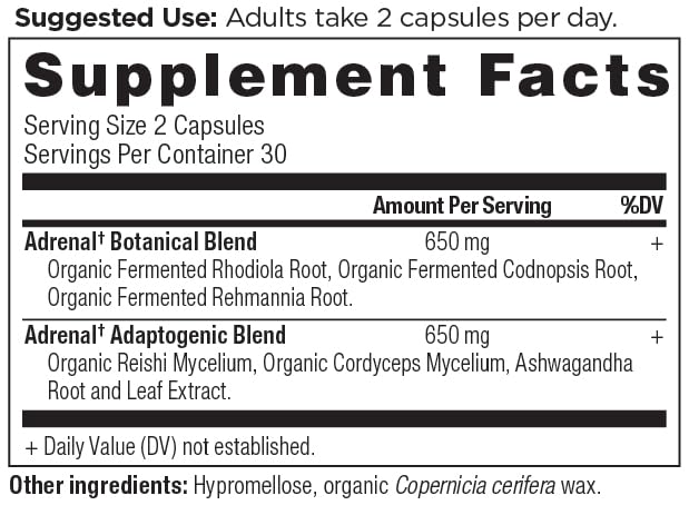 Ancient Nutrition Adrenal Support with Ashwagandha Supplement, Helps Reduce Stress & Fatigue, Paleo and Keto Friendly, Gluten Free, 1300mg, 60 Capsules Ancient Nutrition uk supplements