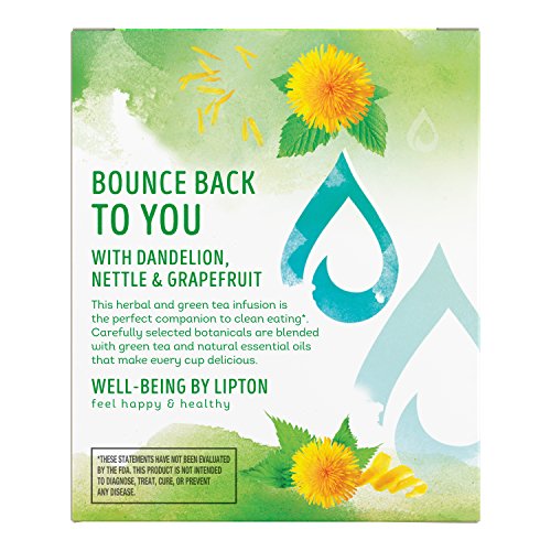 Lipton Green Tea Bags, Herbal Supplement for Detox, 15 Count (Pack of 4) Lipton uk supplements