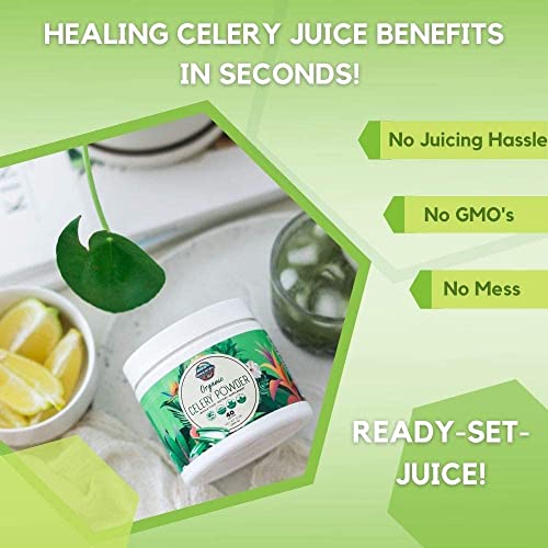 Organic Celery Juice Powder (40 Servings) Supports Gut Health, Detox Juice Cleanse Paradise Naturals, Purest Ingredients from the Source uk supplements