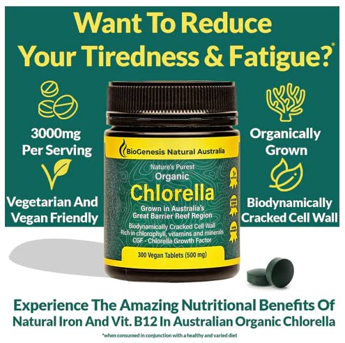 BioGenesis Chlorella Tablets, 600 Tablet Count (500mg) Biogenesis uk supplements