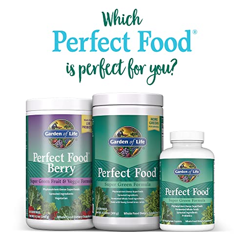 Garden of Life Perfect Food Super Green Formula - 14 Servings | 45 Superfoods, Greens Garden of Life uk supplements