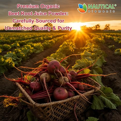 Beet Juice Powder Organic - Cold Pressed - 20:1 Concentrate - Concentrated Beet Root Nautical Elements uk supplements