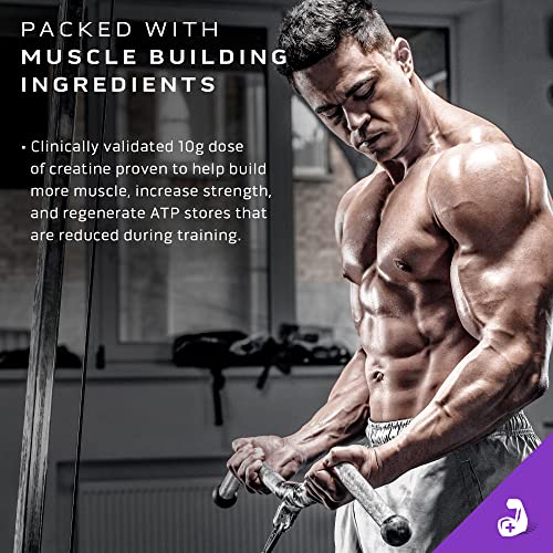 MuscleTech Mass Gainer Protein Powder, Mass-Tech Extreme 2000, Muscle Builder MuscleTech uk supplements