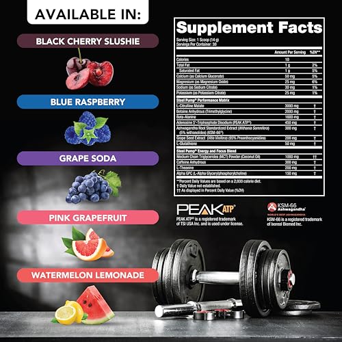 SteelFit Steel Pump - Advanced Pre-Workout Powder Drink - 30 Servings - Peak Performance SteelFit uk supplements