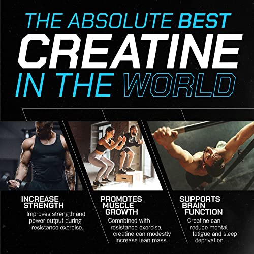 Muscle Feast Creapure Creatine Monohydrate Powder for Muscle Growth Nutritional Muscle Feast uk supplements