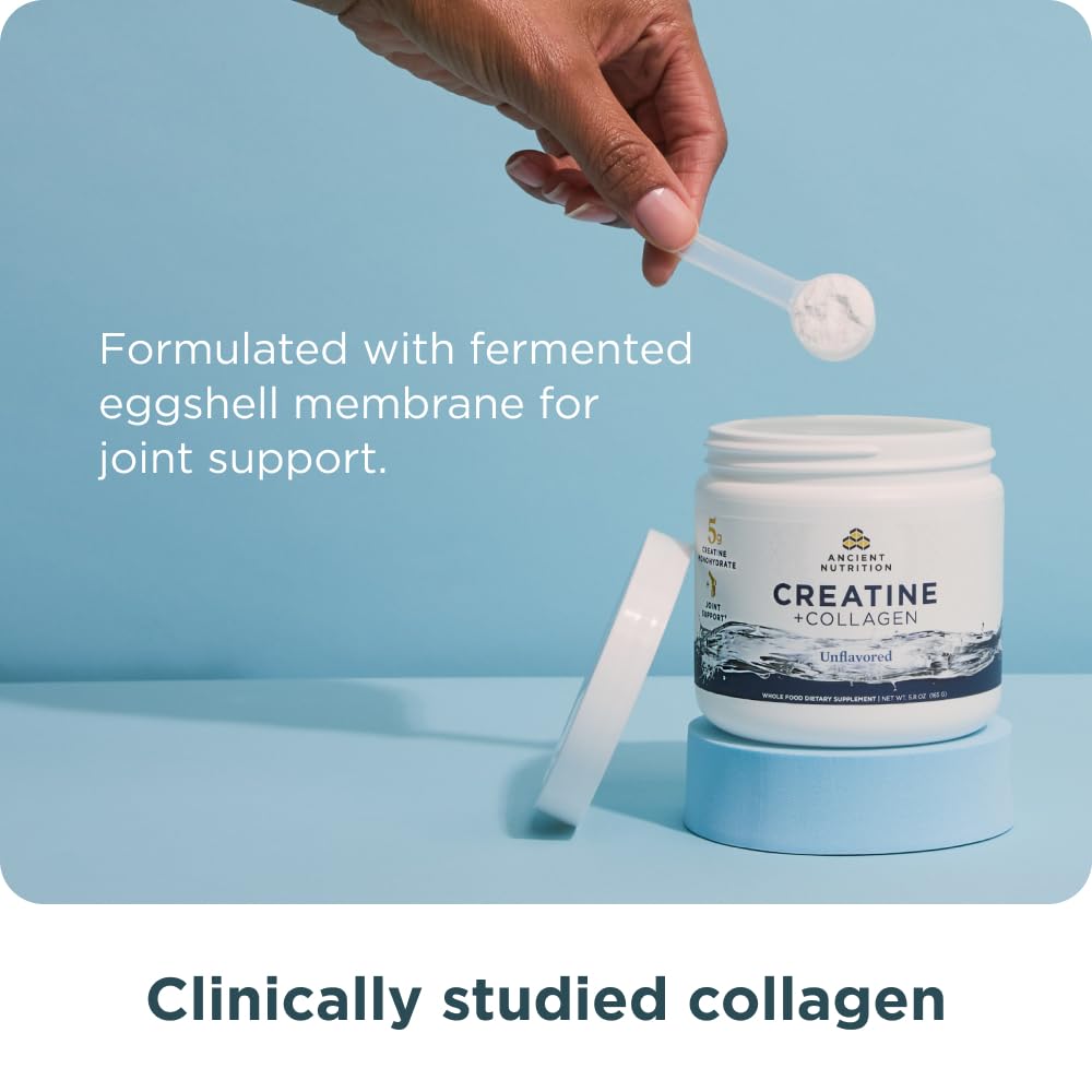 Ancient Nutrition Creatine + Collagen – Muscle Strength, Lean Body Mass, Joint Comfort & Cognitive Support – Includes 5g Creatine Monohydrate for Women, 30 Servings Ancient Nutrition uk supplements