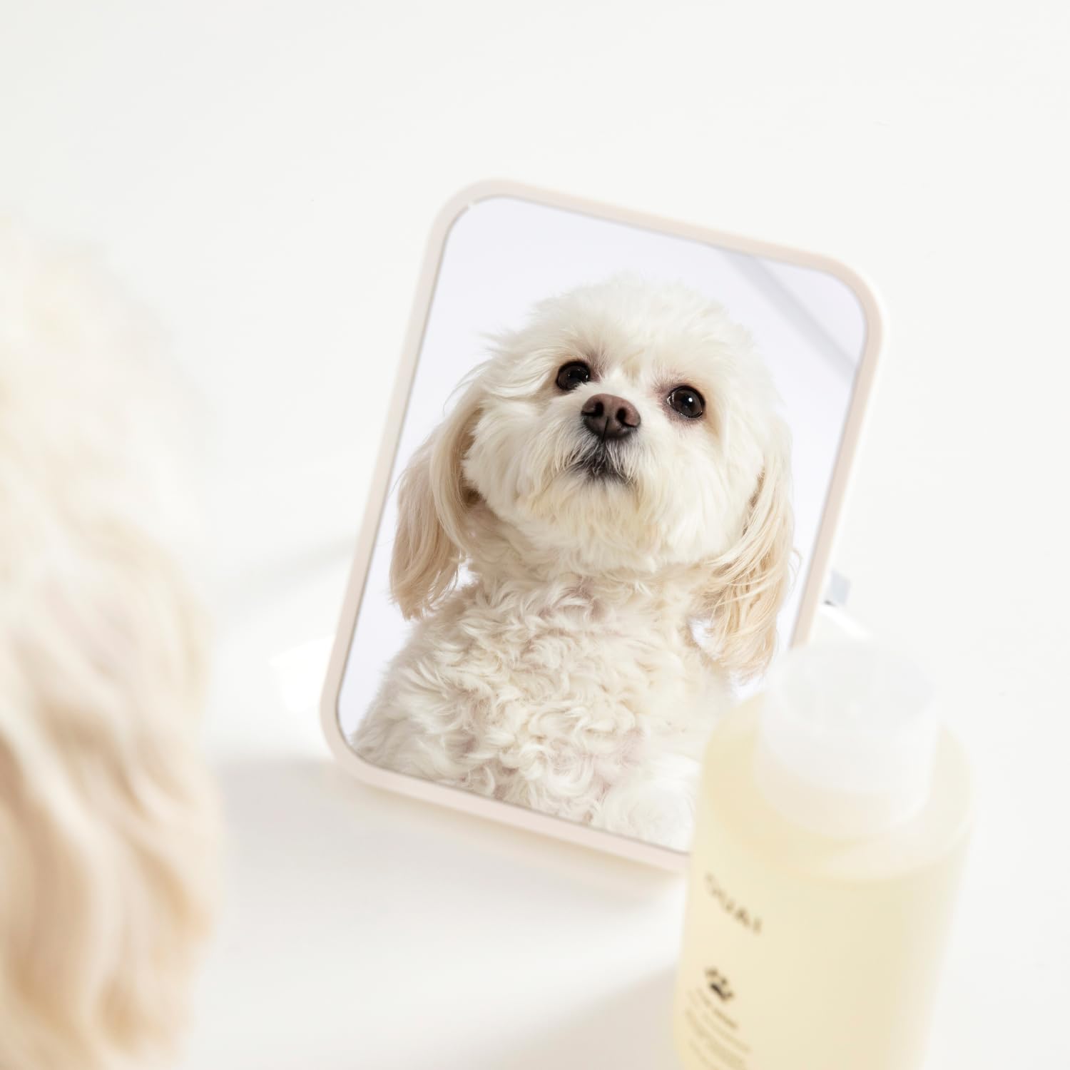 OUAI Fur Bébé Pet Shampoo, Mercer Street Scent - Dog Shampoo and Coat Wash for Hydrating, Cleansing and Adding Shine - Pet Supplies by OUAI (16 Fl Oz) OUAI uk supplements