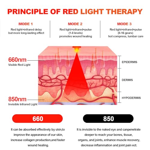 Red Light Therapy Belt Vibrating for Muscle Recovery and Pain Relief DYUF uk supplements