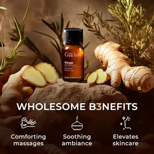 Gya Labs Ginger Oil for Comfort - Natural Ginger Essential Oil for Massage Oil - Ginger Oil Gya Labs uk supplements