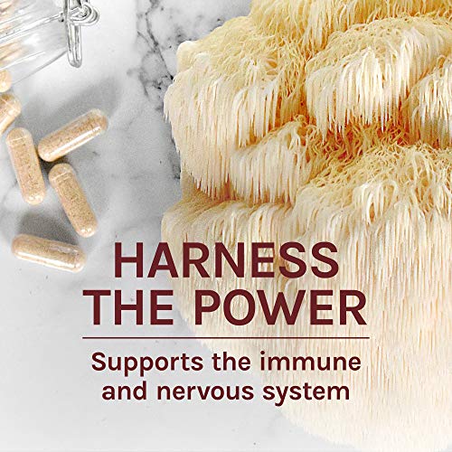 Host Defense, Lion's Mane Capsules, Promotes Mental Clarity, Focus and Memory Host Defense uk supplements