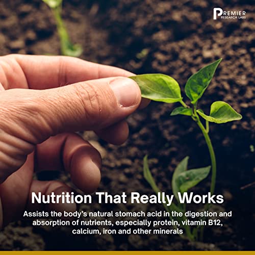 Premier Research Labs Galactan - Prebiotics for Regularity & Healthy Microbiome Premier Research Labs uk supplements