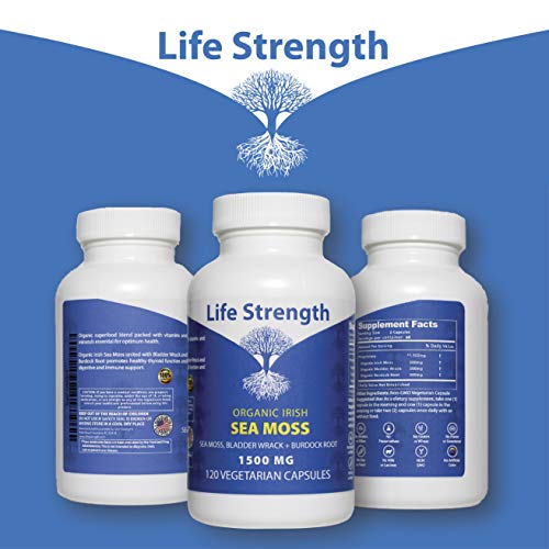 Life Strength Organic Sea Moss 120 CT Wildcrafted Irish Sea Moss and Bladderwrack Burdock Life Strength uk supplements