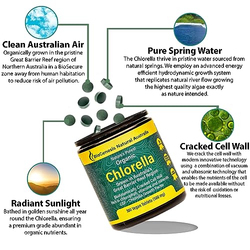 BioGenesis Chlorella Tablets, 600 Tablet Count (500mg) Biogenesis uk supplements