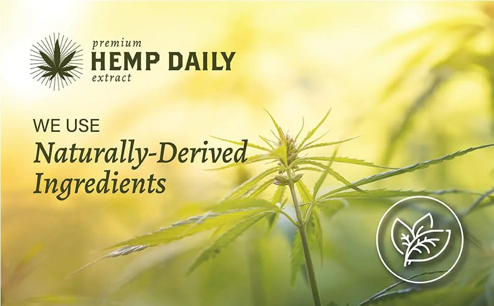 Hemp Daily Active Spray | Hemp Spray with Essential Oils | Vegan, Organic Ingredients | 2 Fluid Ounces (Original Spray, Single) Premium Hemp Extract Daily uk supplements