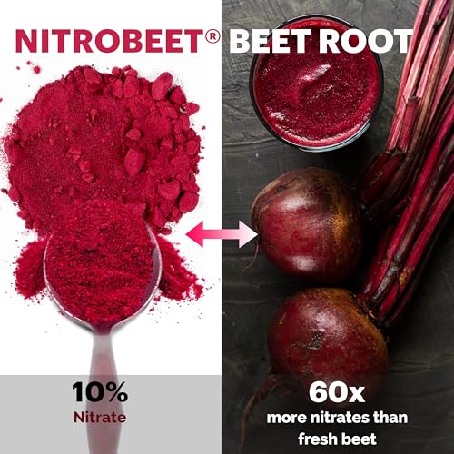 UpNourish Beet Root Powder Nitric Oxide Booster - L arginine L Citrulline Supplements UpNourish uk supplements