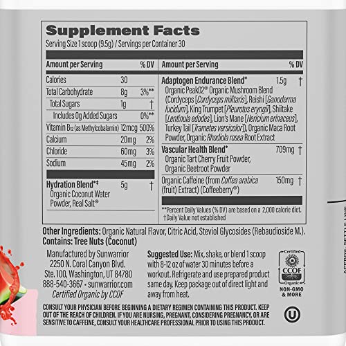 Sunwarrior Plant-Based Preworkout Powder Hydration Blend | Coconut Water Mushroom Sunwarrior uk supplements