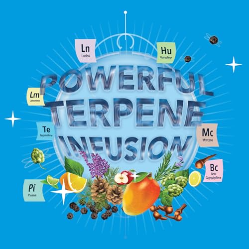 Integra Boost - Terpinolene Infusion - 4 Gram Terpene Essentials Two-Way Humidity Control at 62 Percent RH Integra Boost uk supplements