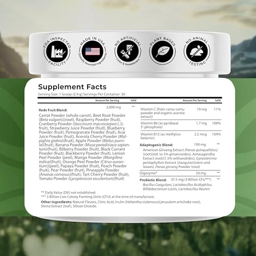 NATURES BLAST Reds - Metabolism and Energy Superfood Powder with 23 Red Fruits, 4 Adaptogens, Probiotics & Enzymes - Vegan Antioxidant Blend, 1 Bottle NATURES BLAST uk supplements