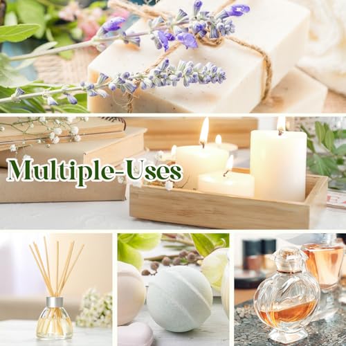 Essential Oils Set - 12 Pcs Aromatherapy Essential Oil Kit for Diffuser, Humidifier, Aromatherapy, Massage Aeshory uk supplements
