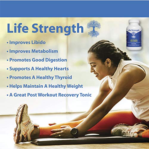 Life Strength Organic Sea Moss 120 CT Wildcrafted Irish Sea Moss and Bladderwrack Burdock Life Strength uk supplements