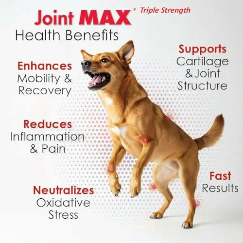 Joint Max TS Joint Supplement Vet Formulated Pain & Inflammation Relief Treats Hip Dysplasia & Arthritis, Glucosamine, Chondroitin, Turmeric, MSM, HA, Creatine, Omega 3 EPA + DHA.120 Soft Chews Joint Max uk supplements