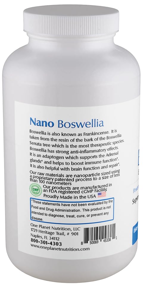 One Planet Nutrition Nano Brain 500 mg Capsules (120 Count) - Synergistic Blend of Bacopa, Curcumin, Boswellia & Ginkgo - Enhances Mental Clarity & Memory - Non-GMO, Vegan, Gluten Free One Planet Nutrition uk supplements