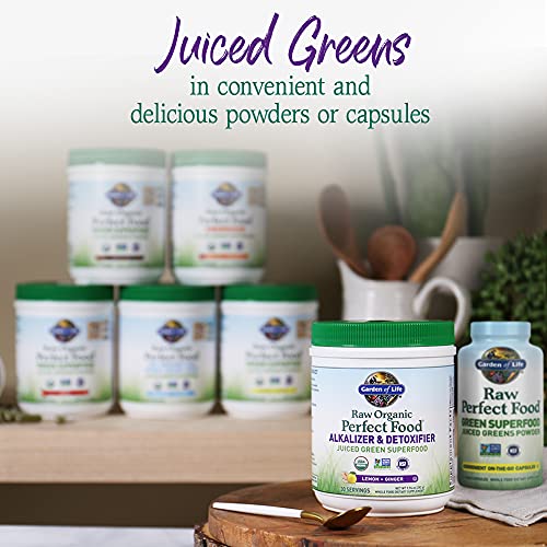 Garden of Life Raw Organic Perfect Food Alkalizer and Detoxifier, Lemon Ginger Flavored Superfood Powder Supplement, 30 Servings Garden of Life uk supplements