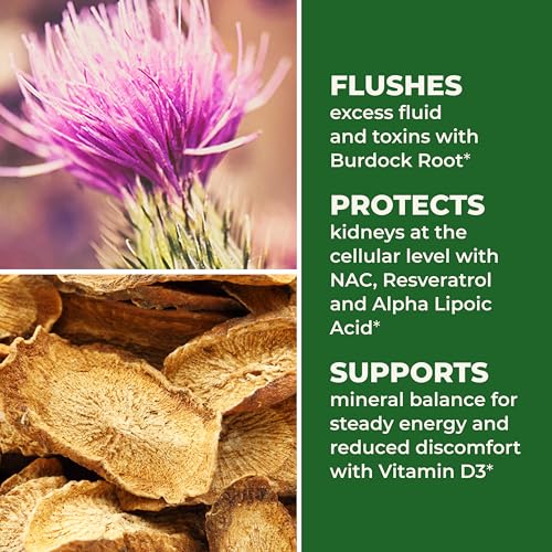 LifeSeasons Kidney Support Supplement – Cellular Protection with NAC, Alpha Lipoic Acid, Resveratrol, Burdock Root & Vitamin D3 – Supports Detox, Oxidative Stress & Renal Function – 120 Capsules LifeSeasons uk supplements