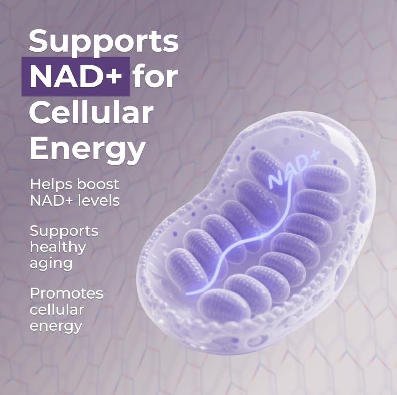Neurogan Beta NMN (β-NMN) Supplement 500 mg per Serving, High Purity – NAD+ Precursor for Cellular Energy & Vitality – 120 Capsules (2-Month Supply) – Made in USA Neurogan uk supplements
