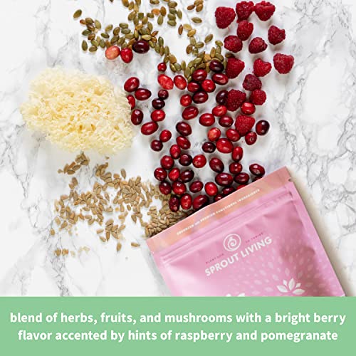 Sprout Living Epic Protein, Plant Based Protein & Superfoods Powder, Pro Collagen, Sprout Living uk supplements