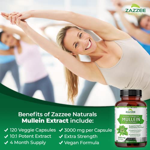 Zazzee Extra Strength Mullein 10:1 Extract, 3000 mg Strength, 120 Vegan Capsules Zazzee uk supplements