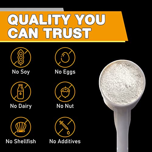 Rep N Roll Micronized Creatine Powder, 45 Serv., Creatine Monohydrate 5000 MG Rep N Roll uk supplements