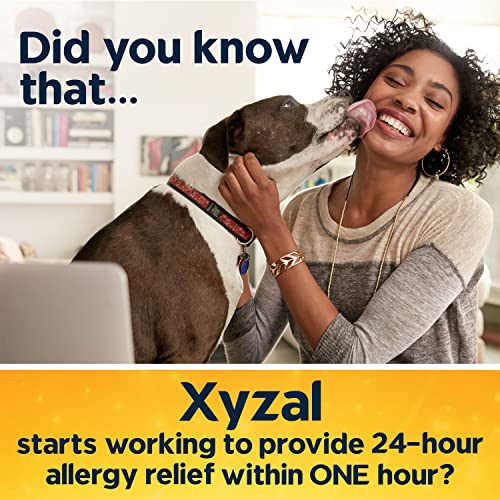 Xyzal Allergy Pills, 24-Hour Allergy Relief, 80-Count, Original Prescription Strength Xyzal uk supplements