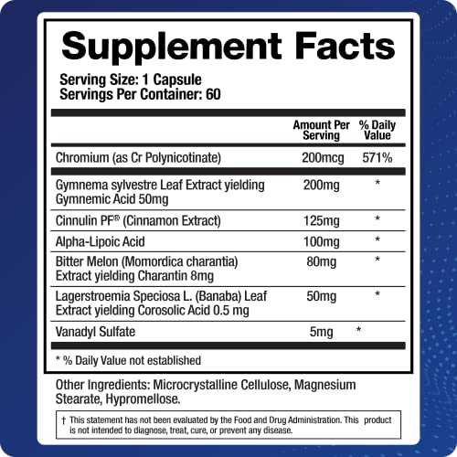 BioMatrix Blood Sugar Support Supplement w/Cinnamon, Gymnema, Lipoic Acid, Vanadyl BioMatrix uk supplements
