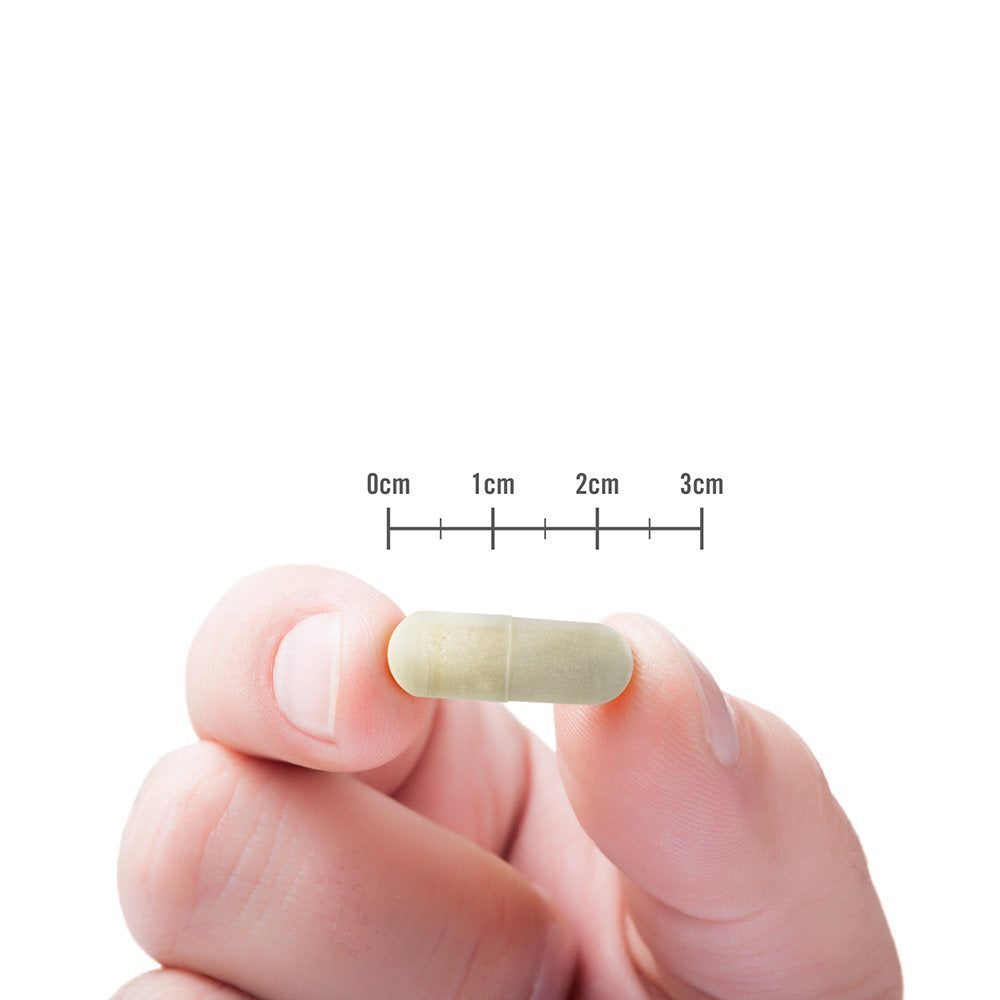 Naturewise Garcinia Cambogia (2 Month Supply) Pure Garcinia Cambogia NatureWise uk supplements