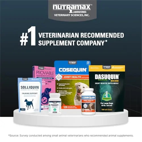 Nutramax Dasuquin for Small to Medium Dogs, Joint Health Supplement, Contains Glucosamine for Dogs, Plus Chondroitin, ASU and More, Supports Healthy Joints, Chewable Tablets, 150 Count Nutramax Laboratories uk supplements