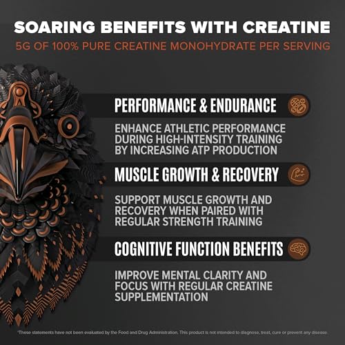 Birdman Falcon Performance Vegan Protein Powder, 31g Protein, 5g Creatine, 5g BCAA BIRDMAN uk supplements