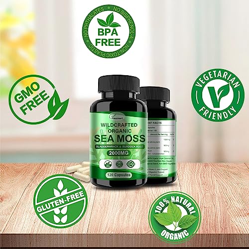 Fleamart 2 Pack Irish Sea Moss Capsules 120ct Raw Organic Sea Moss Wildcrafted Bladder Fleamart uk supplements