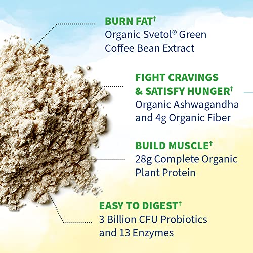 Garden of Life Raw Organic Fit Vegan Protein Powder Original, 28g Plant Based Protein Garden of Life uk supplements