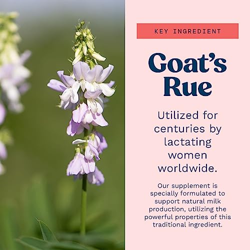 Goat's Rue Lactation Supplement For Increased Breast Milk, Lactation Supplement Mommy Knows Best uk supplements