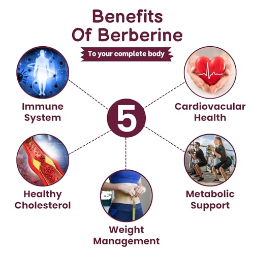 SHRISHA HERBAL Indian Berberine 1500mg - Berberine HCl 500mg Per Capsule - Support SHRISHA HERBAL uk supplements