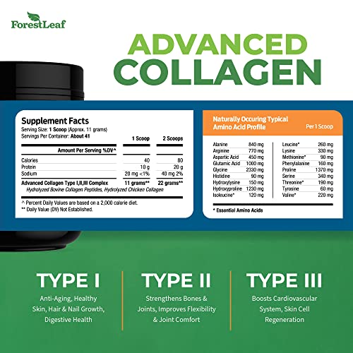 Collagen Peptides Powder Unflavored - Hydrolyzed Collagen Protein Powder ForestLeaf uk supplements