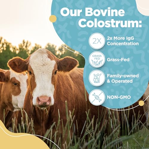 Bovine Colostrum Powder - 40% IgG Highly Concentrated Pure Bovine Colostrum InstaSkincare uk supplements