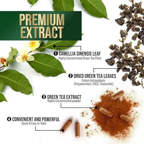 Nature's Green Tea Extract Pills 98% Standardized EGCG 1000mg - 3X Strength for Natural Nature's Nutrition uk supplements