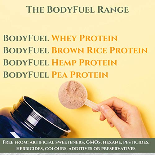 Complementary Supplements - BodyFuel Whey Protein Isolate & Concentrate Chocolate Flavour Complementary Supplements uk supplements